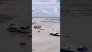 Celebrity The Beauty of Zanzibar's Low Tide: Witnessing Seaweed Collection by the Local Community#villagelife Net Worth