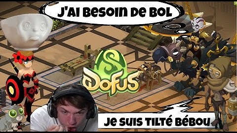 Solotage Misère Eliotrope 199 Intouchable Dofus Unity 17 tours