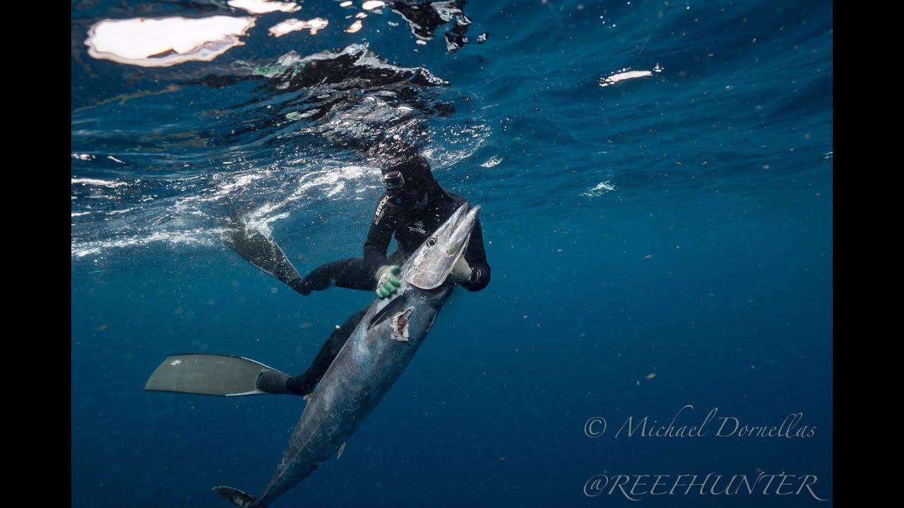 Wahoo Mayhem Spearfishing Texas YouTube