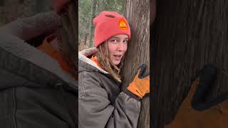 3 Things I 🧡 About Being OffGrid #offgrid #offgridmisty #misty #valife #tnlife #virginia #tinyhome