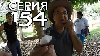 ПАНАМСКАЯ ФЕРМА В ДЖУНГЛЯХ // КРУГОСВЕТКА - СЕРИЯ 154 ПАНАМСКАЯ ФЕРМА В ДЖУНГЛЯХ // КРУГОСВЕТКА - СЕРИЯ 154