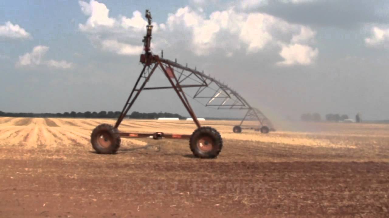 Pivot #22 - Zimmatic 9-span germinating cotton - YouTube