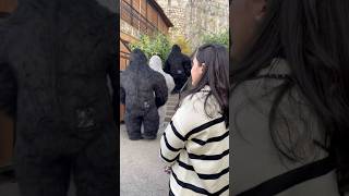 #travel #dinovalley #likesharesubscribe #shortvideo