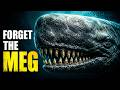 Livyatan: The Only Animal Megalodon Feared
