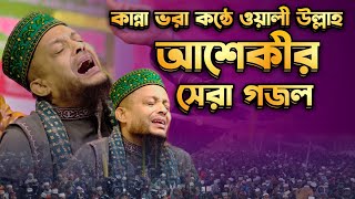 রহমতে আলম নবি নুরে মুজাচ্ছাম || Rohmote Alom Nobi Nure Mujassam || ওয়ালী উল্লাহ আশেকী নাতে রাসুল সঃ