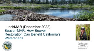 LunchMAR | BeaverMAR: How Beaver Restoration Can Benefit California’s Watersheds (December 2022)