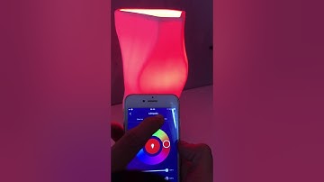 Lâmpada inteligente Wifi LED EKAZA Compatível com Alexa Google Assistente Tuya e SmartLife