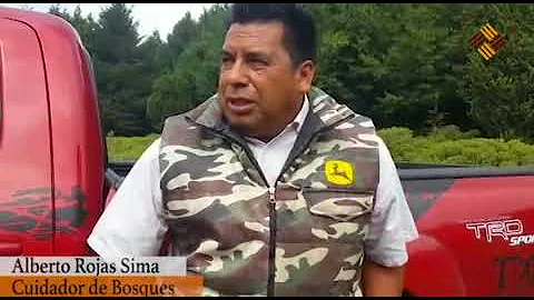Otredad Vanessa Lema