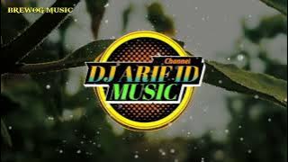 DJ LILY ALAN WALKER Remix Terbaru Full Pargoy ( Brewog Music )