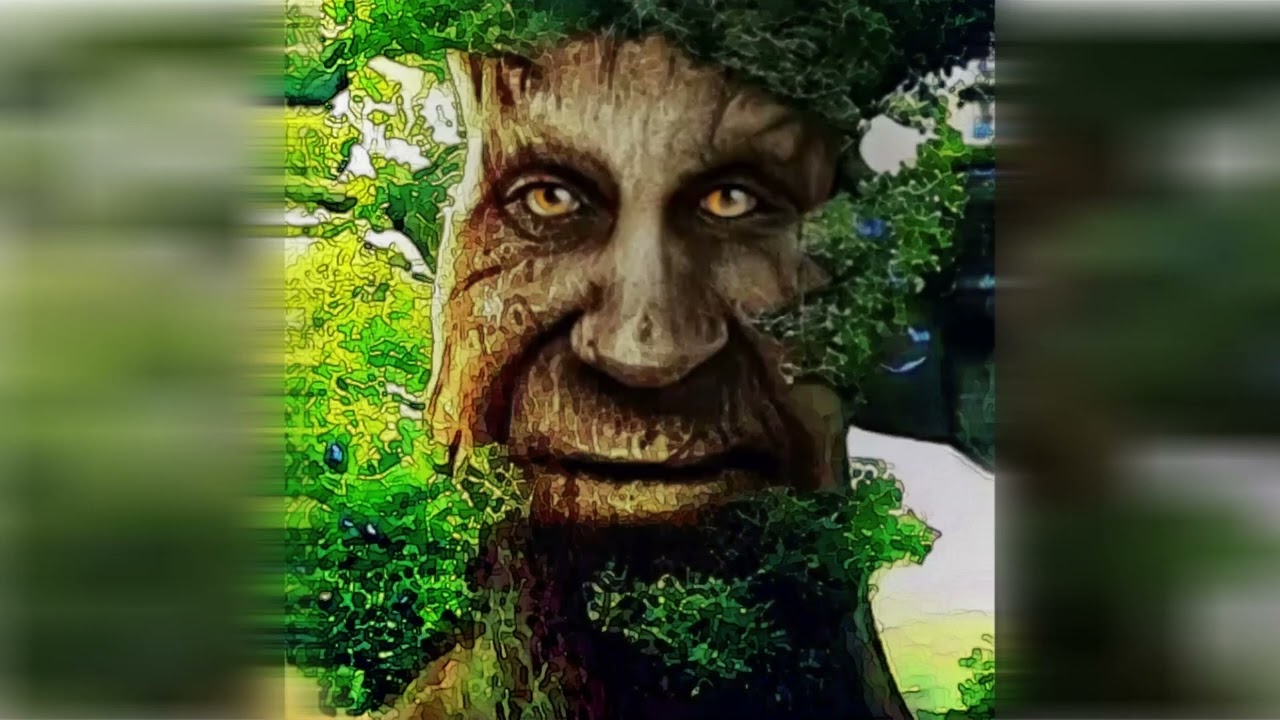 Stream the wise mystical tree in 1993 by modplug