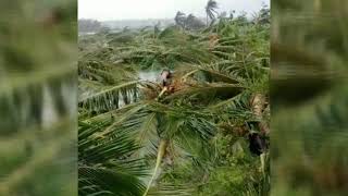 Contribution For Gaja Disaster Relief