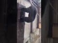 How crashing out started