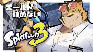 【スプラトゥーン3】ちょこっとテスト配信！イカ編！【蜜虎/獣VTuber】