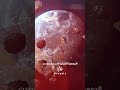 رصد كويكب ضخم من سماء الأردن… هل يشكل خطراً؟ ☄️