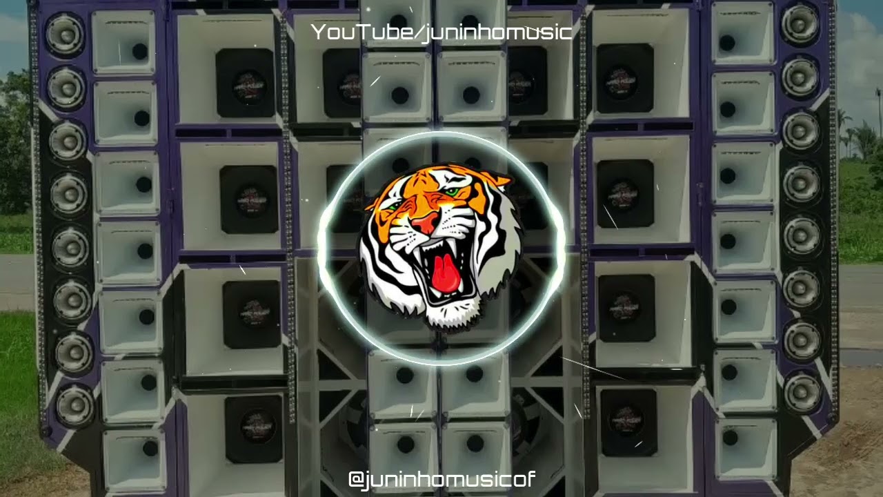 VOU TACANDO E MACHUCANDO TODO MUNDO - BONDE DO GATO PRETO E MC NITO