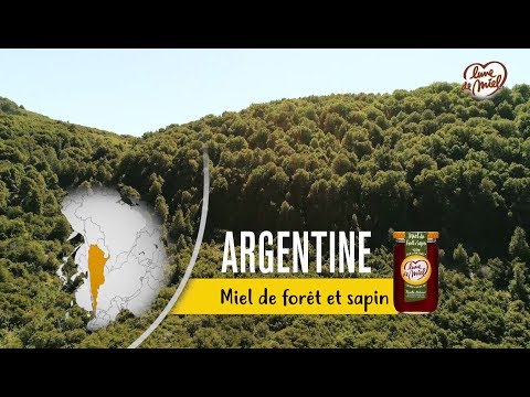 Miel de Forêt & Sapin Lune de Miel® : A la recherche de miel d’exception - Version Longue