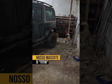 O mascotinho da oficina!