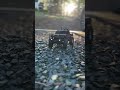 Enjoy the process | #axialscx24 #fcx24m #rccrawler #axial #rccar