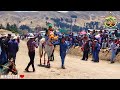 Qatar 2022 del "Stud Arami Goyito Caballero Guevara"