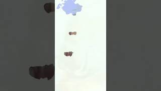 Laos Buddhameditation