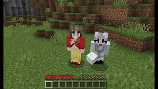 Felikitty and Monkey playing minecraft