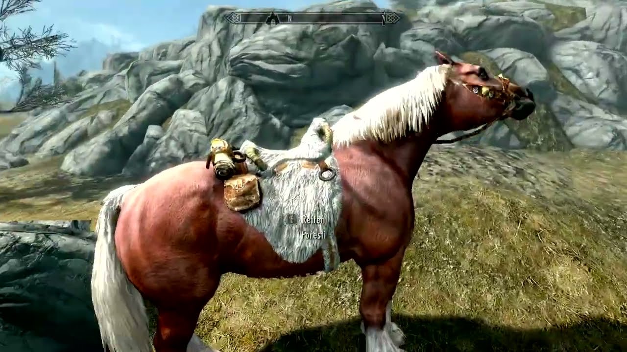 Elder Scrolls V: Special Edition - 12 (Der ganz lange Weg, uncut)