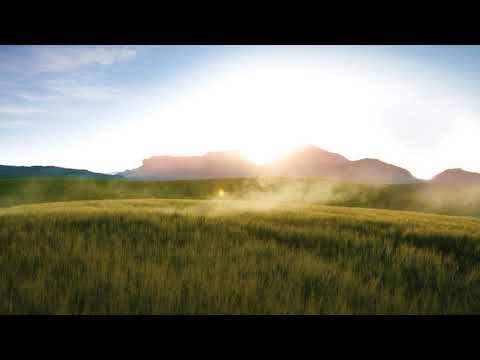 lululemon | Meditation for Runners: The Race - French - lululemon | Meditation for Runners: The Race - French