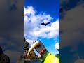 موسيقى صقر حزينه 