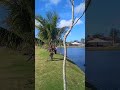 Araquari