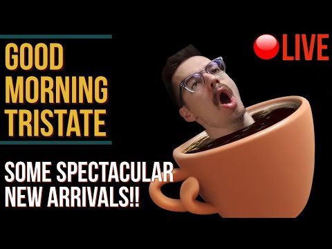 Sip your Coffee, and Feast Your Eyes! - Good Morning Tristate LIVE!