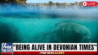 What If You Lived in the Devonian Period?