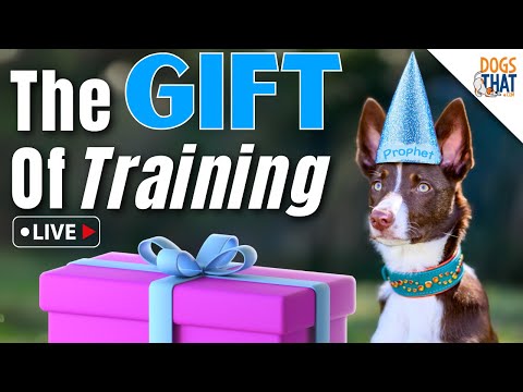 The Gift of Dog Training