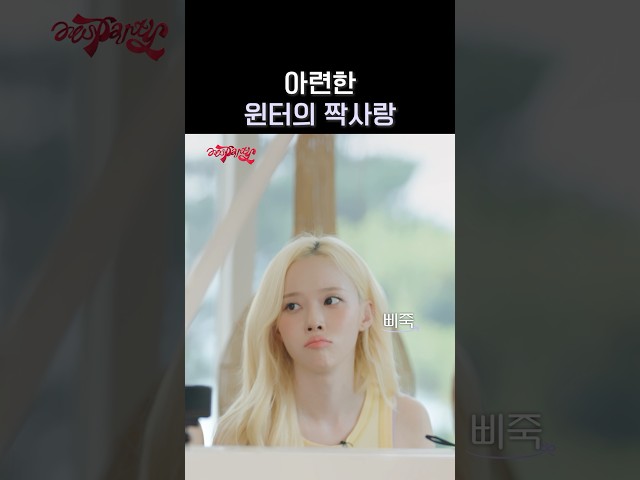 윈터의 짝사랑 #aespa #æspa #에스파 #aesParty #에스파티