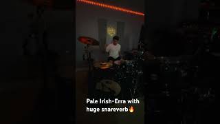 Pale Iris-Erra drum cover #drums #drumcover #homestudio #drummer