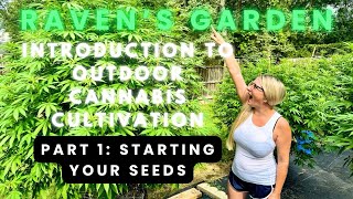 Introduction to outdoor cannabis cultivation, starting your seeds
