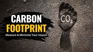 CO2-voetafdruk | Hoe u uw impact kunt meten en minimaliseren | The Planet Voice