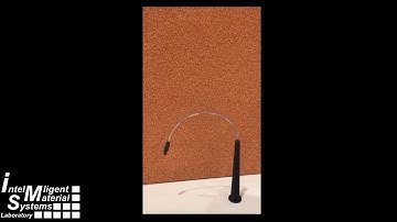 Continuum and Soft Robotic with Shape Memory Alloy (SMA)