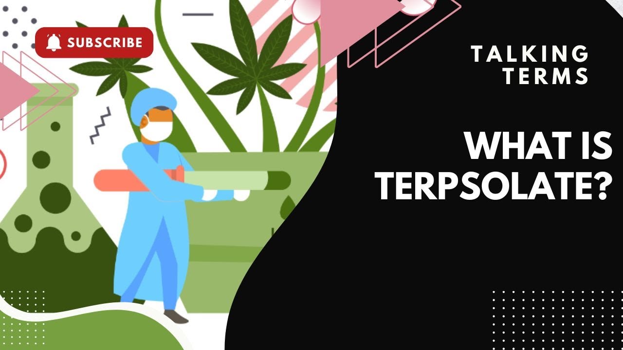 Talking Terms: What is Terpsolate?