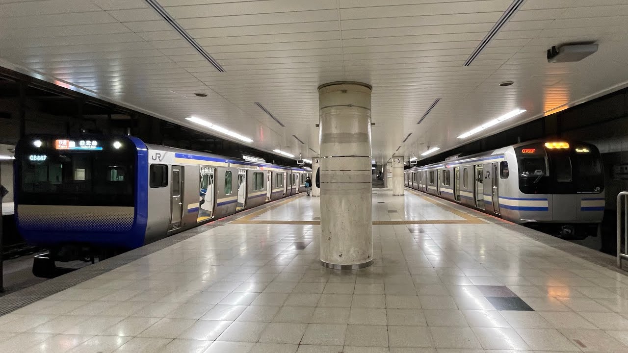 総武快速･横須賀線 東京駅発着集