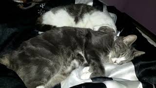 Luke – Maj 2012 - 26/2 2024