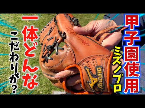 The Mizuno Pro glove I used at Koshienthe coach said it was a