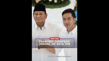 RESPON TKN Usai Pengakuan Prabowo Sebut 