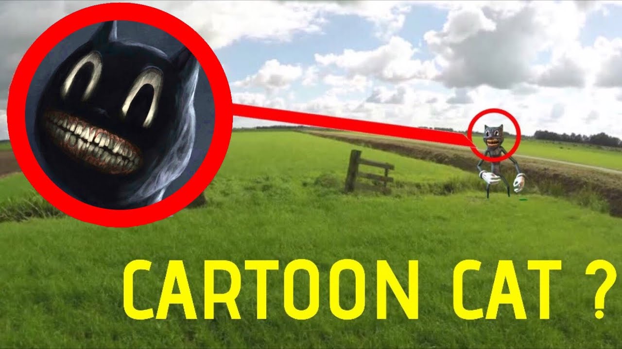 You will not believe what my drone caught on camera (Cartoon Cat