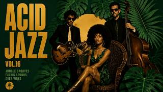 🌴 The Best Exotic Acid Jazz Vol.16 | Deep Funk Grooves for Work, Study & Chill