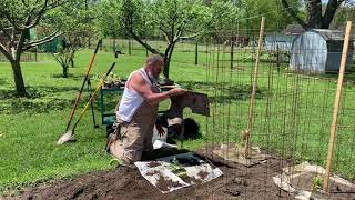 Dirty Hoe Gardening: Planting Tomatoes