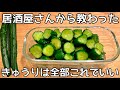 切って漬けるだけ【きゅうりのわさび漬け】パリポリ食感が病みつき！これからの季節にピッタリ！作り置き・常備菜・大量消費レシピ