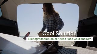 Biodegradable Cooler Keeps Food Cold and Dry