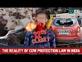 The reality of Cow Protection law in India | Deaf Talks | Deaf Talks News | Indian Sign Language.