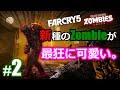 クレイジー女子が墓守ゾンビと戯れる...【Far Cry 5(ファークライ5)】DLC:デッドリビング ゾンビ編 実況 #37