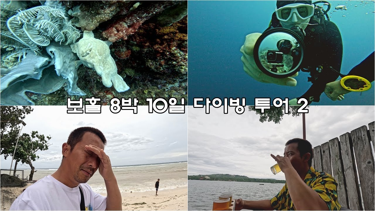 🇵🇭필리핀 보홀 8박 10일 다이빙 투어 2편. (먹고놀고자고/보홀여행)